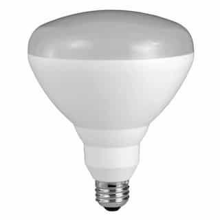 17W Dimmable LED BR40 2700K