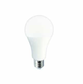 16W 2700K Dimmable LED A21 Bulb - Energy Star Rated