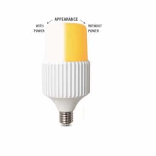 65W T40 LED Corn Bulb, 8775 lm, 3000K, 120V-277V