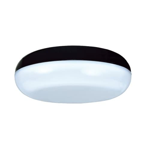 Royal Pacific 11-in 17W LED Outdoor Surface Mount, 800 lm, 120V, 3000K, Black