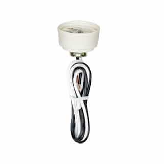 660W Combination Lamp Holder w/ Hickey, 24-in leads, GU24, 600V