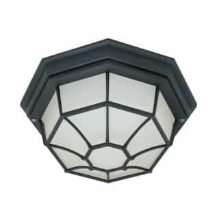60W Ceiling Spider Cage Fixture w/ Frosted Glass, 1 Light, Textured Black