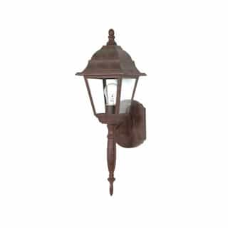 60W Briton Wall Lantern w/ Clear Seed Glass, 1 Light, Old Bronze