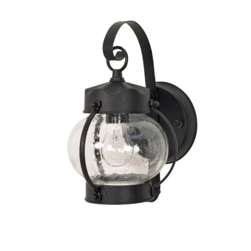 Nuvo 60W Onion Outdoor Wall Fixture w/ Clear Seed Glass, 1 Light, Textured Black