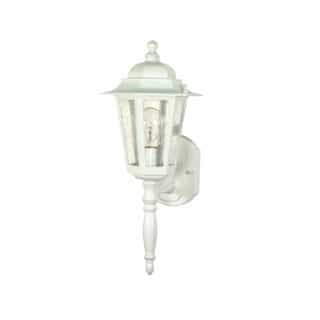60W Cornerstone LED Wall Lantern w/ Clear Seed Glass, 1 Light, White