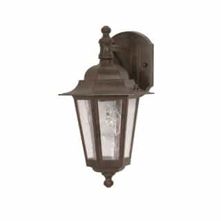 60W Cornerstone Wall Lantern w/ Clear Seed Glass, 1 Light, Old Bronze