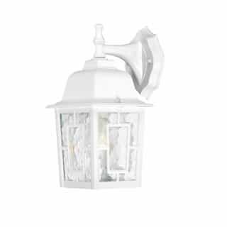 100W 12-in Banyan LED Outdoor Wall Lantern w/ Clear Water Glass, 1 Light, White