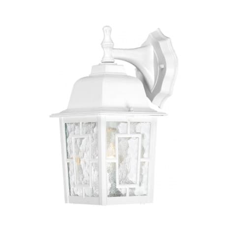 Nuvo 100W 12-in Banyan LED Outdoor Wall Lantern w/ Clear Water Glass, 1 Light, White