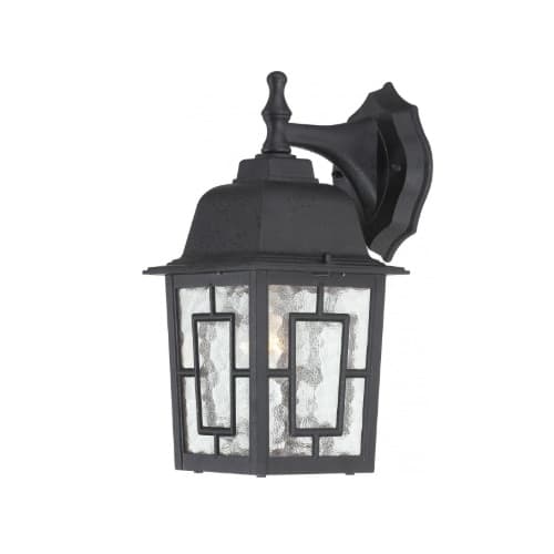 Nuvo 100W 12-in Banyan LED Outdoor Wall Lantern w/ Clear Water Glass, 1 Light, Textured Black