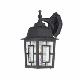 100W Banyan LED Outdoor Wall Lantern w/ Clear Water Glass, 1 Light, Textured Black, 12in
