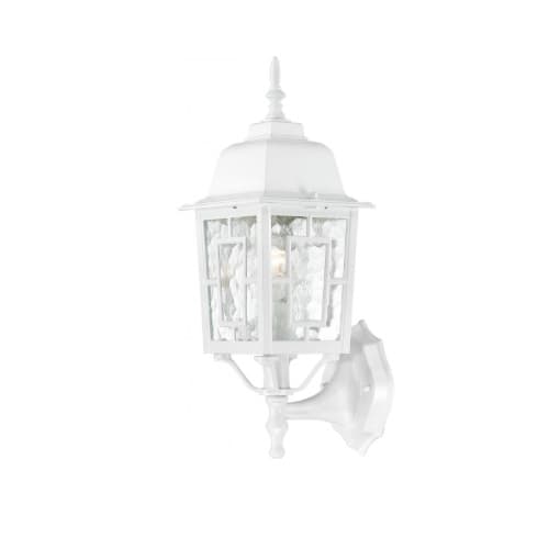 100W 17-in Banyan LED Outdoor Wall Lantern w/ Clear Water Glass, 1 Light, White