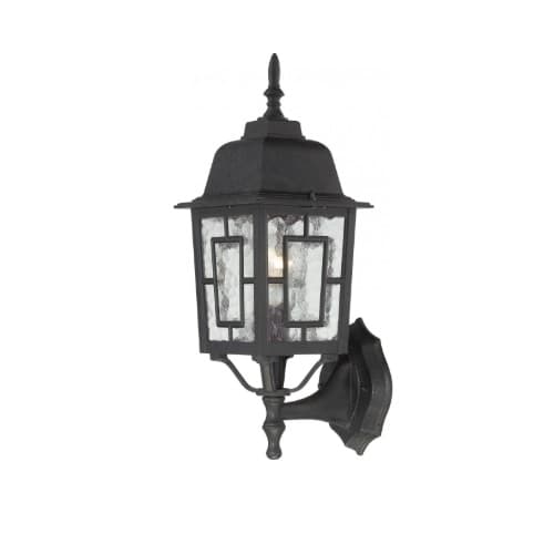 100W 17-in Banyan LED Outdoor Wall Lantern w/ Clear Water Glass, 1 Light, Textured Black