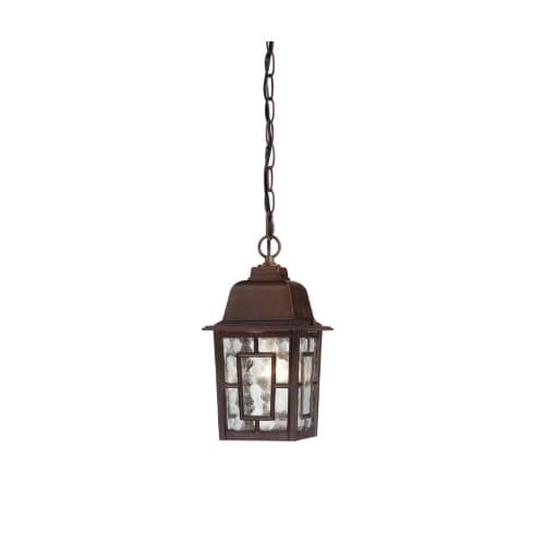 Nuvo 100W Banyan LED Outdoor Hanging w/ Clear Water Glass, Rustic Bronze