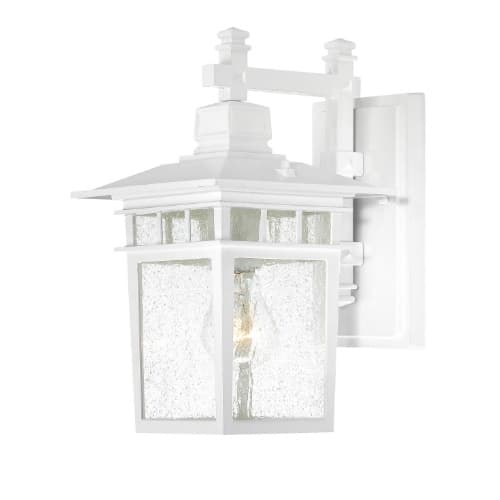 100W Cove Neck LED Outdoor Wall Lantern w/ Clear Seed Glass, 1 Light, White