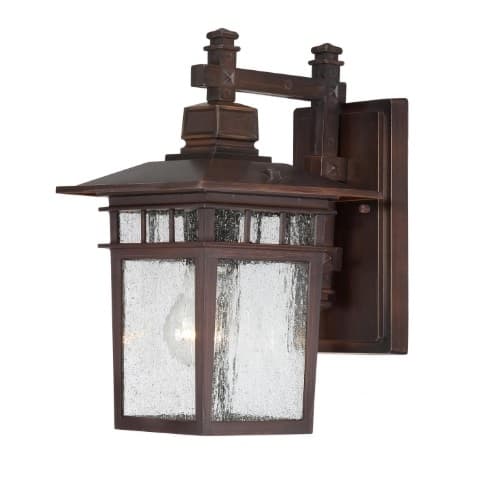 100W Cove Neck LED Outdoor Wall Lantern w/ Clear Seed Glass, 1 Light, Rustic Bronze