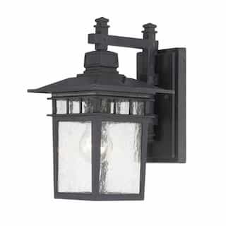 100W Cove Neck LED Outdoor Wall Lantern w/ Clear Seed Glass, 1 Light, Textured Black