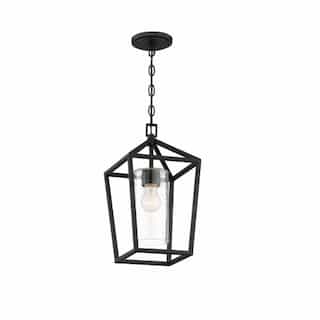 60W Hopewell Series Hanging Lantern w/ Clear Seeded Glass, Matte Black