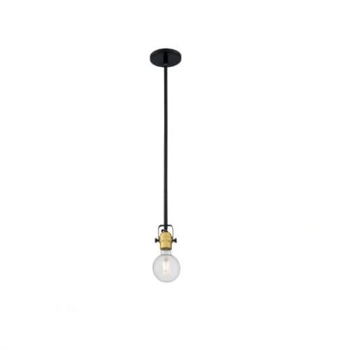 100W Mantra Mini Pendant Fixture, 1 Light, Black and Brushed Brass