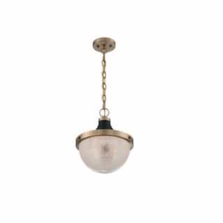 Nuvo 100W Faro Series Large Pendant Light w/ Clear Prismatic Glass, Burnished Brass & Black