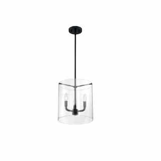 Nuvo 60W Sommerset Series Pendant Light w/ Clear Glass, 3 Lights, Matte Black