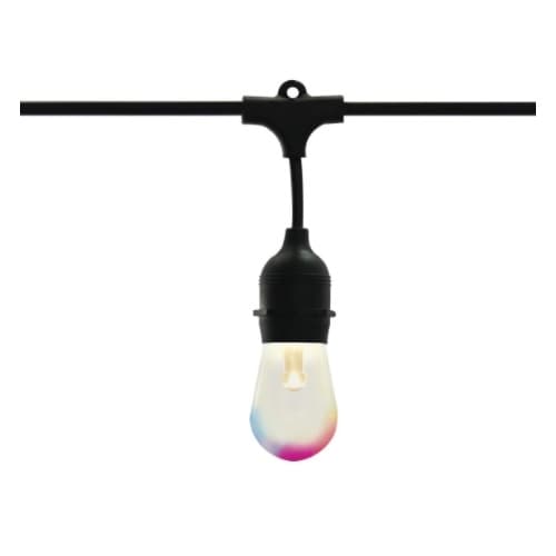Satco 24-ft 10W LED String Light, 260 lm, 120V, Starfish IOT, RGBW