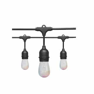 Satco 24-ft 10W LED String Light, Dimmable, 260 lm, 120V, Starfish IOT