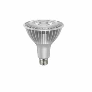 Satco 33W LED PAR38 Bulb, 250W Fl Retrofit, Dim, E26, 3000 lm, 2700K