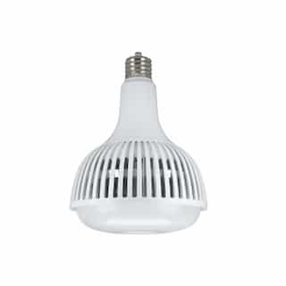 80W LED High Bay Bulb, 250W HID Retrofit, EX39, 9700 lm, 5000K