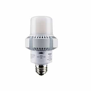Satco 20W LED AP23 Bulb, Non-Dimmable, E26, 100-277V, Selectable CCT