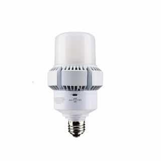 Satco 45/22W LED AP32 Bulb, Dimmable, E26, 5850/3060 lm, 100-277V
