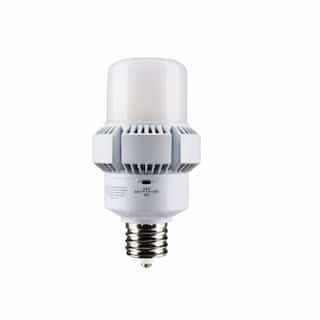 Satco 45/22W LED AP32 Bulb, Dimmable, EX39, 5850/3060 lm, 100-277V