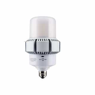 Satco 65/32W LED AP37 Bulb, Dimmable, E26, 8450/4420 lm, 100-277V