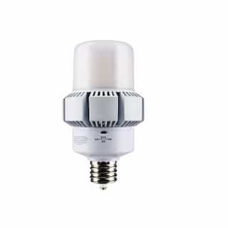 Satco 65/32W LED AP37 Bulb, Dimmable, EX39, 8450/4420 lm, 100-277V