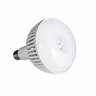 80W LED HB60 Bulb, Dimmable, EX39, 10000 lm, 120-277V, 4000K, White