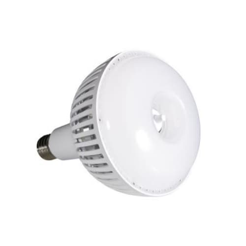 Satco 80W LED High Bay Bulb, 250W HID Retrofit, EX39, 10000 lm, 5000K