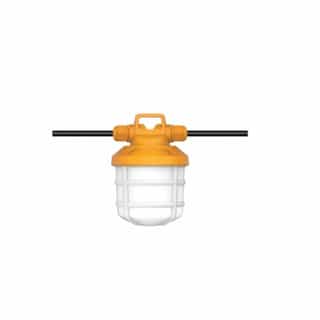 Satco 50W 5-Piece LED Commercial String Light, 6000 lm, 5000K, Orange