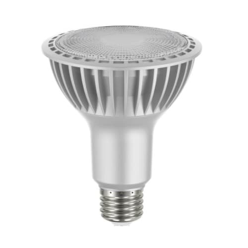 Satco 21.5W LED PAR30 Bulb, E26, Long Neck, 4000K