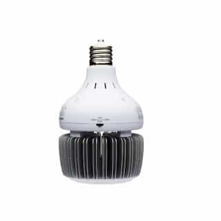 60/80/100W LED Hi-Bay Bulb, Non-Dimmable, EX39, 100-277V, 4000K