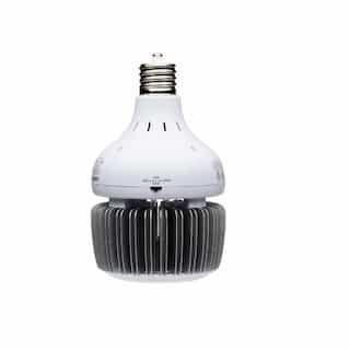 60/80/100W LED Hi-Bay Bulb, Non-Dimmable, EX39, 100-277V, 5000K