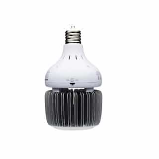 80/100/130W LED Hi-Bay Bulb, Non-Dimmable, EX39, 100-277V, 4000K