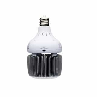80/100/130W LED Hi-Bay Bulb, Non-Dimmable, EX39, 100-277V, 5000K