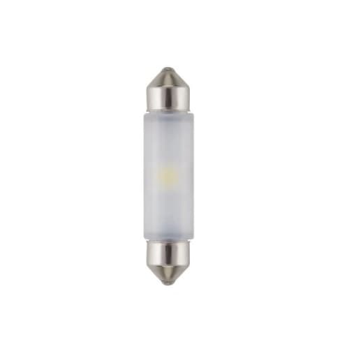 2W LED Miniature Festoon Bulb, T3, 24V, 4000K/5000K, Clear