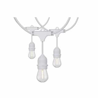 Satco 24-ft 12W LED String Light, 12 S14 Bulbs, 100 lm, 120V, 2200K, White