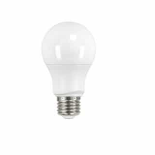 Satco 6W LED A19 Bulb, 2700K, Frosted