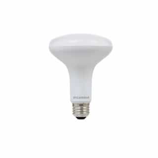 9W LED BR30 Bulb, E26, 650 lm, 120V, 5000K