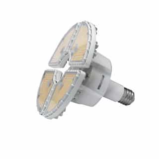 80W LED High Bay Bulb, Direct Wire, EX39, 120V-277V, Selectable CCT