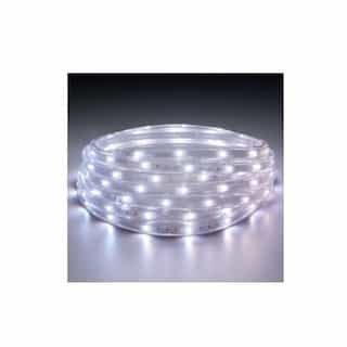 2-ft 24W LED Flexible Light Strip Kit, 4 Strips, 40 lm, 12V, RGBW