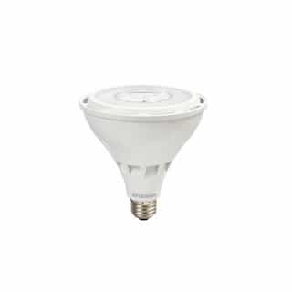 25W LED PAR38 Bulb, 250W Hal. Retrofit, Dimmable, 2650 lm, 5000K