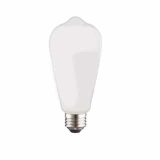 5W LED ST19 Bulb, Dimmable, E26, 450 lm, 120V, 2400K, Frosted