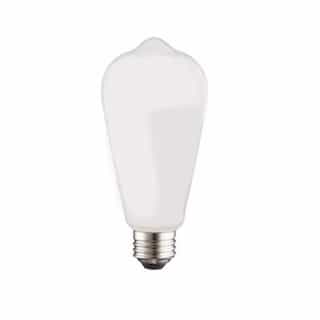 5W LED ST19 Bulb, Dimmable, E26, 450 lm, 120V, 2700K, Frosted